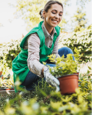 Garden Services
