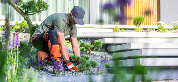 Additional Gardening Services