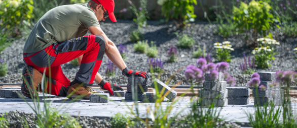 Additional Lawn Care Services