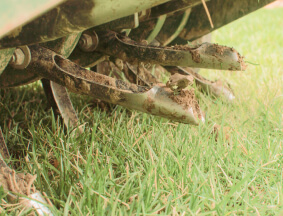 Aeration & Overseeding