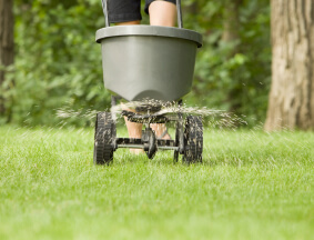 Fertilization Programs