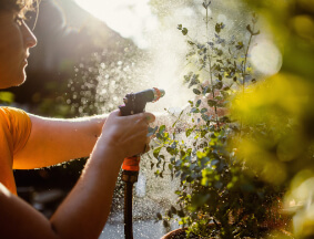 Garden Maintenance