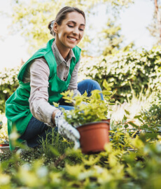 Garden Services