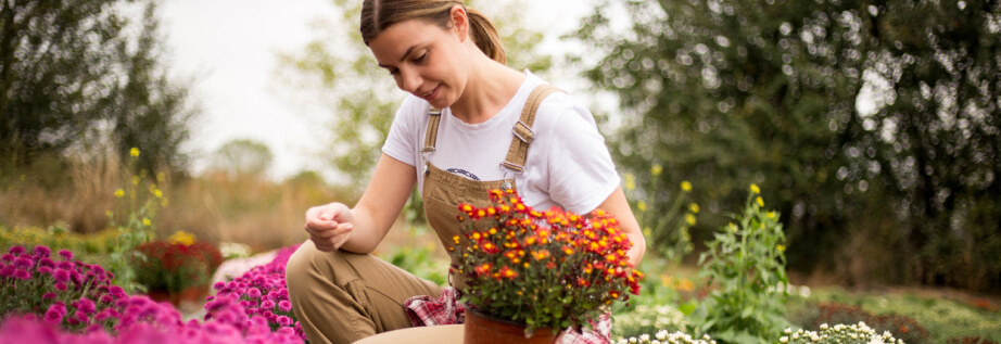 About Horticare Landscaping