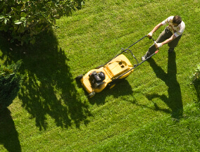 Lawn Mowing