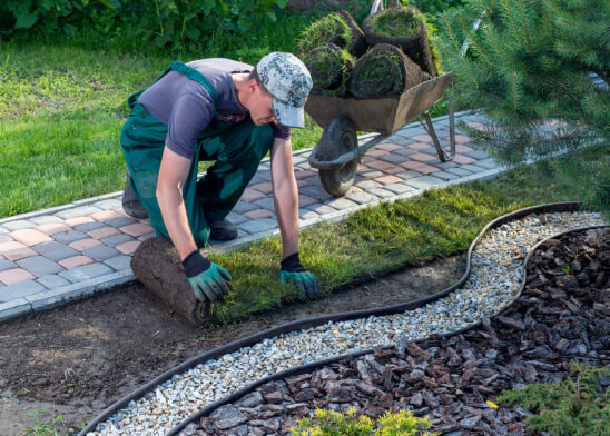 Lawn Repair & Improvement