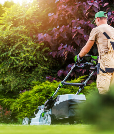 Lawn Services