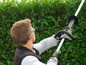 Pruning & Hedge Trimming