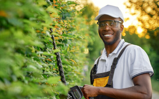 Pruning & Plant Care