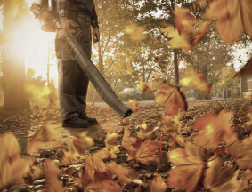 Seasonal Garden Care