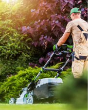 Lawn Services